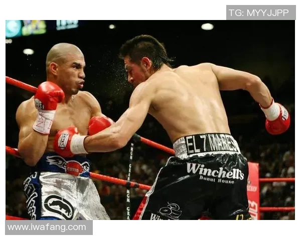 库托与哈顿精彩对决视频回顾分析揭示拳击技巧与战术较量 库托与哈顿精彩对决视频回顾分析揭示拳击技巧与战术较量